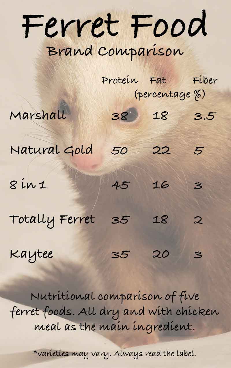 Best food for ferrets sales chart