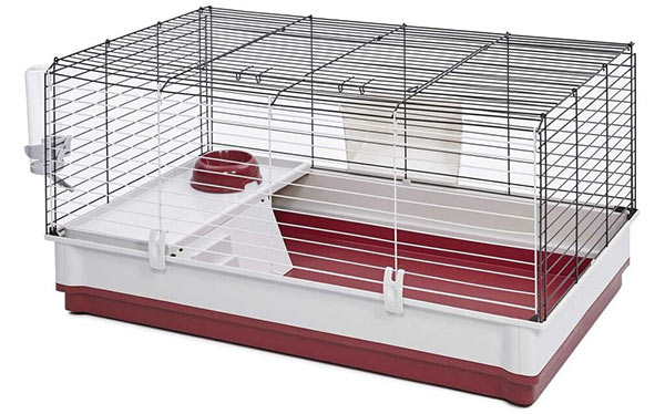 recommended cage size for 2 guinea pigs