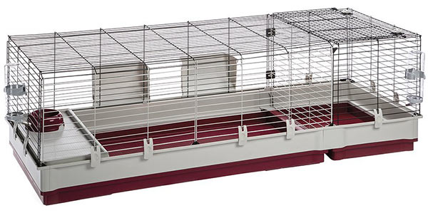 minimum space for 2 guinea pigs