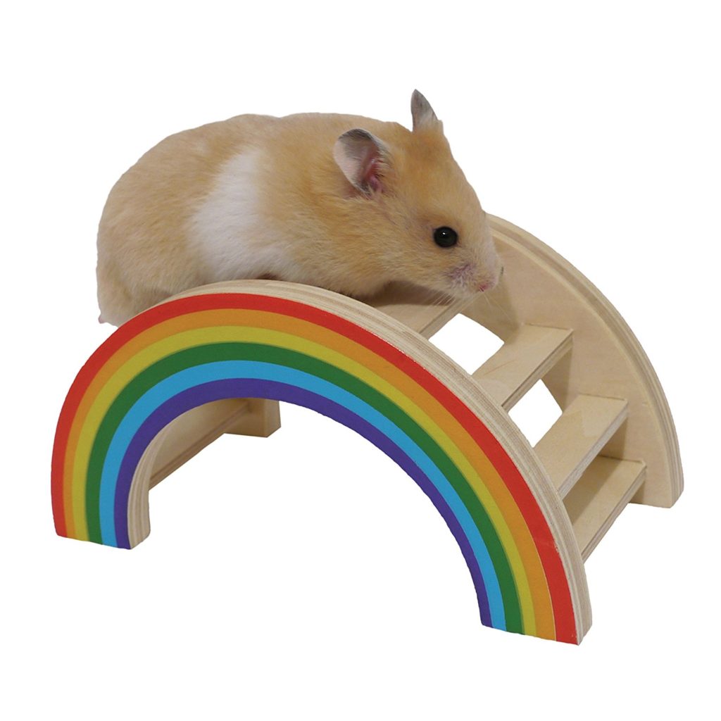 The Big Hamster Toy Review - The Best Toys For Hamsters