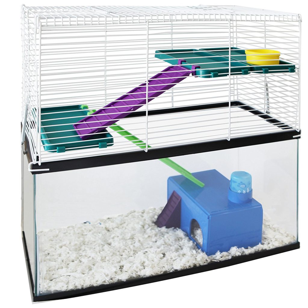 minimum gallon tank for hamster