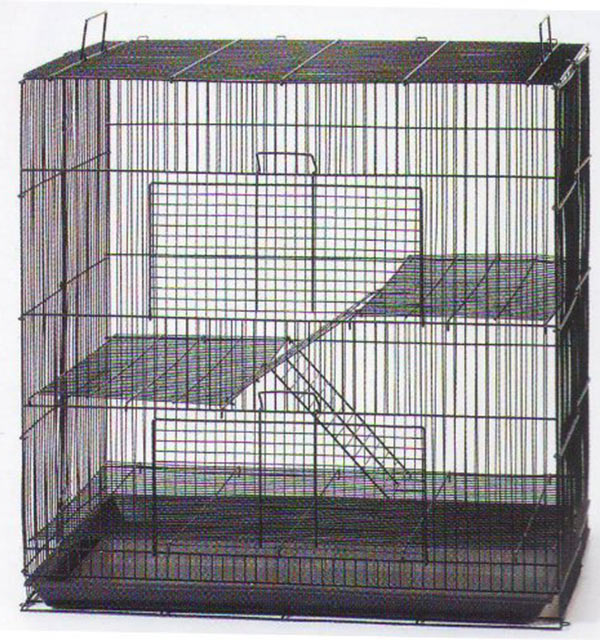 how big of a cage does a rat need