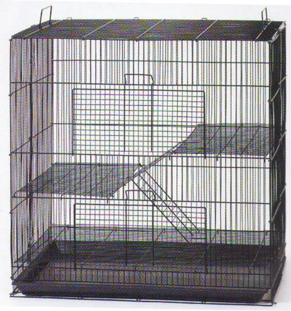 cage size for 2 rats