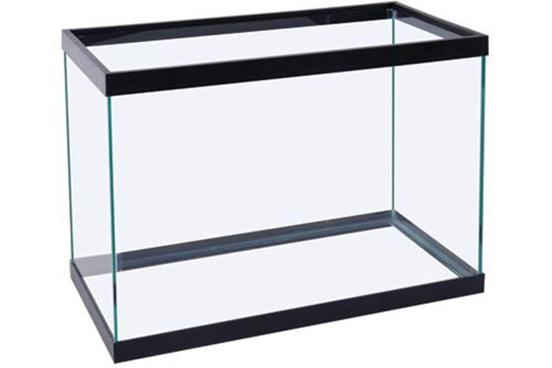 Glass tank 2024 for hamster