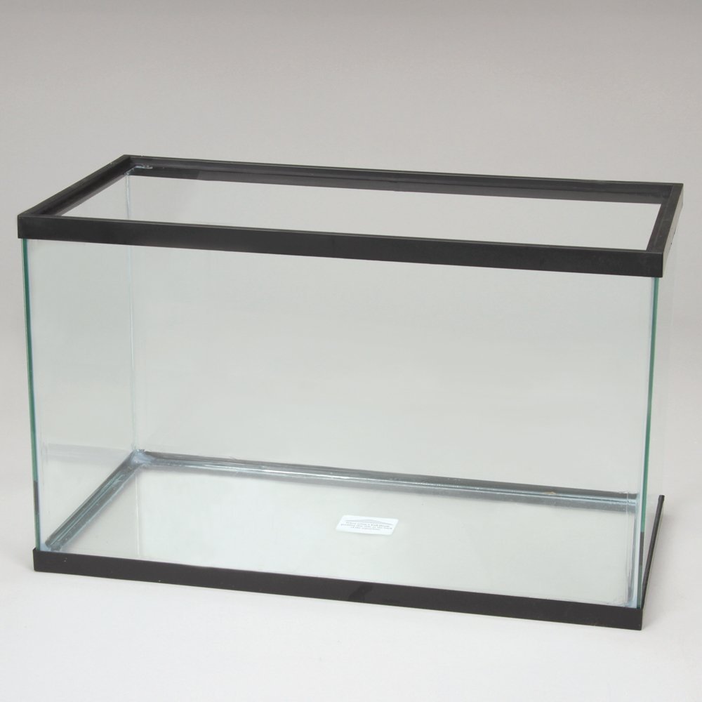 large glass tank for hamster