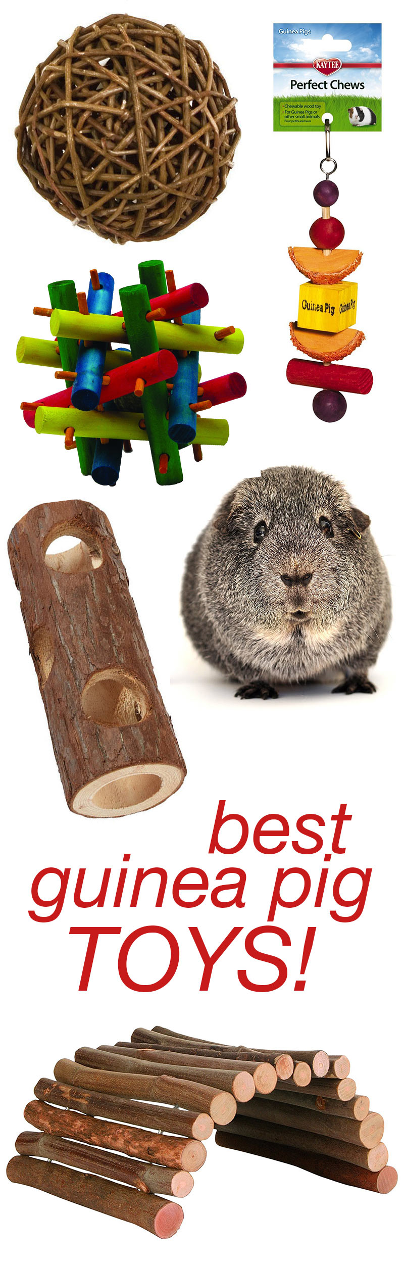 guinea pig chew toys