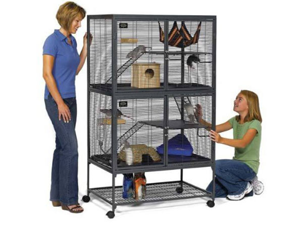 cage size for 2 rats