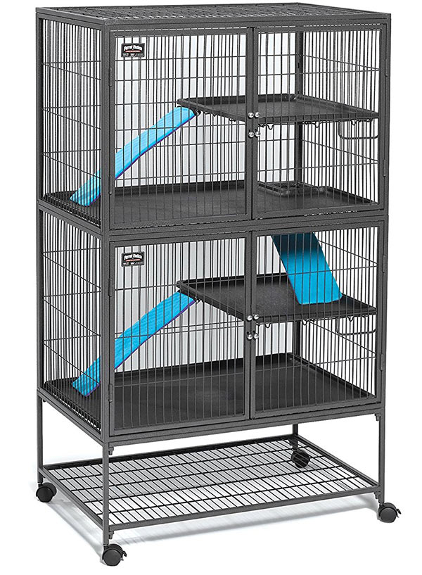 cage size for 2 rats