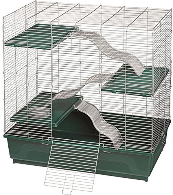 how big of a cage does a rat need