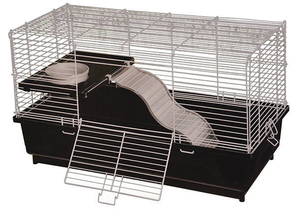 cage size for 2 rats