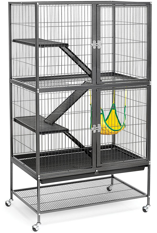 cage size for 2 rats