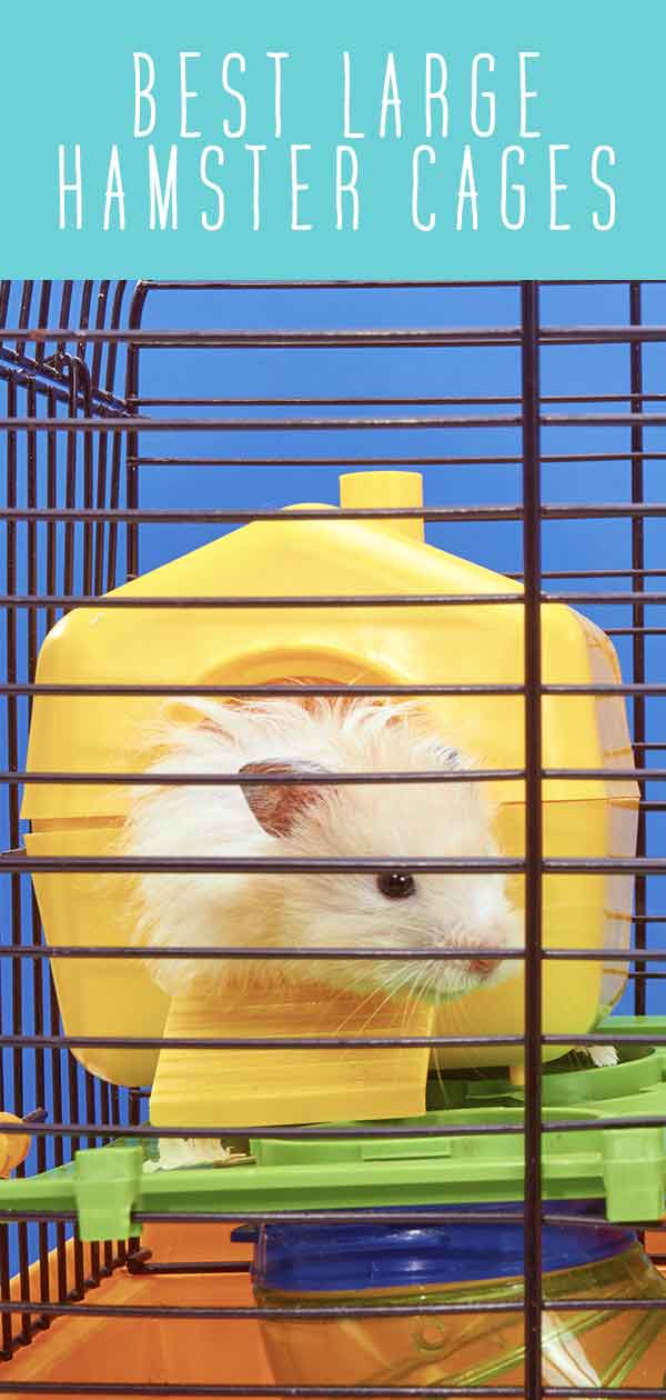 largest hamster cage