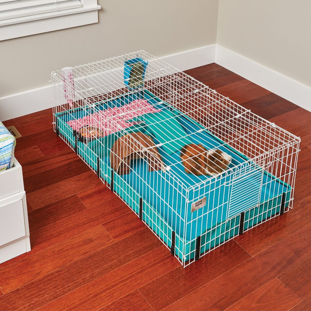 The Best Guinea Pig Playpens And Runs Reviewed