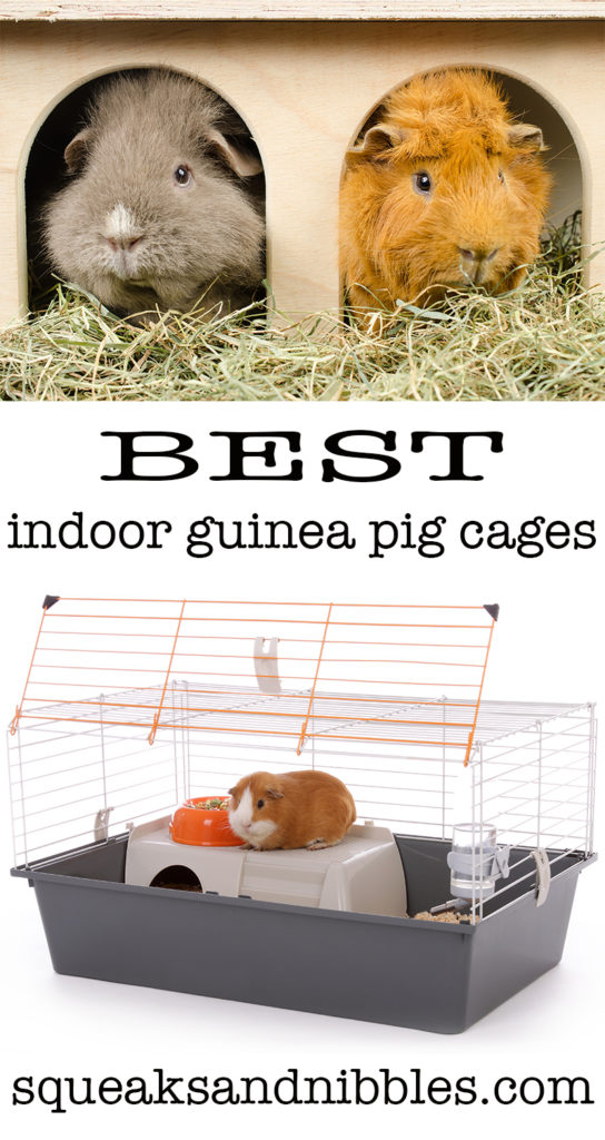 2 tier guinea pig cage indoor