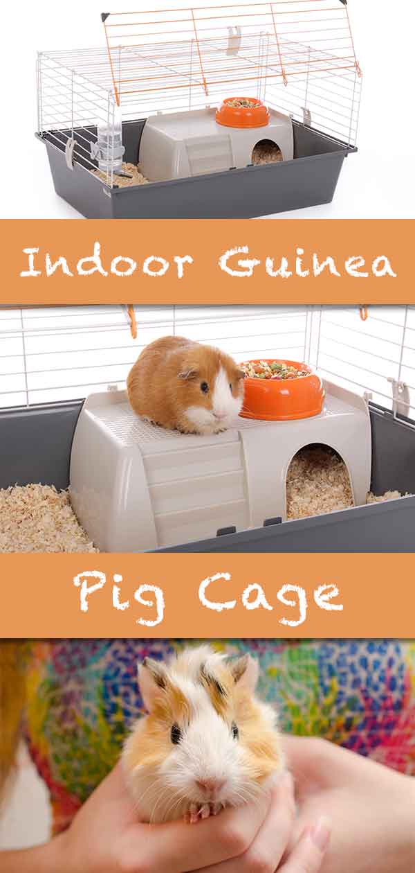 best indoor guinea pig cage