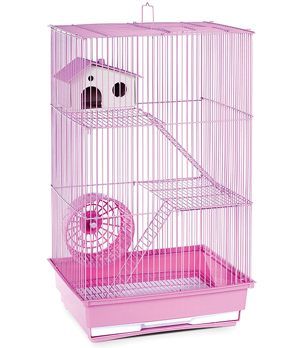 pink hamster accessories