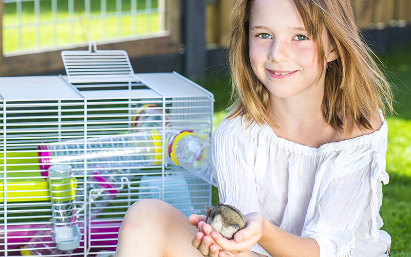 pink princess castle hamster cage