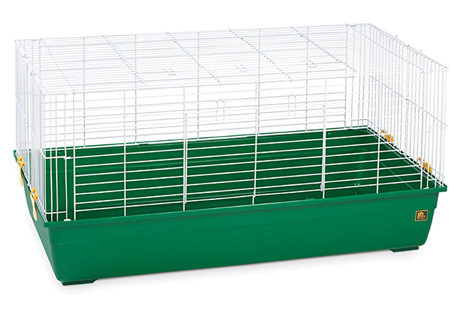 best cage for indoor guinea pigs