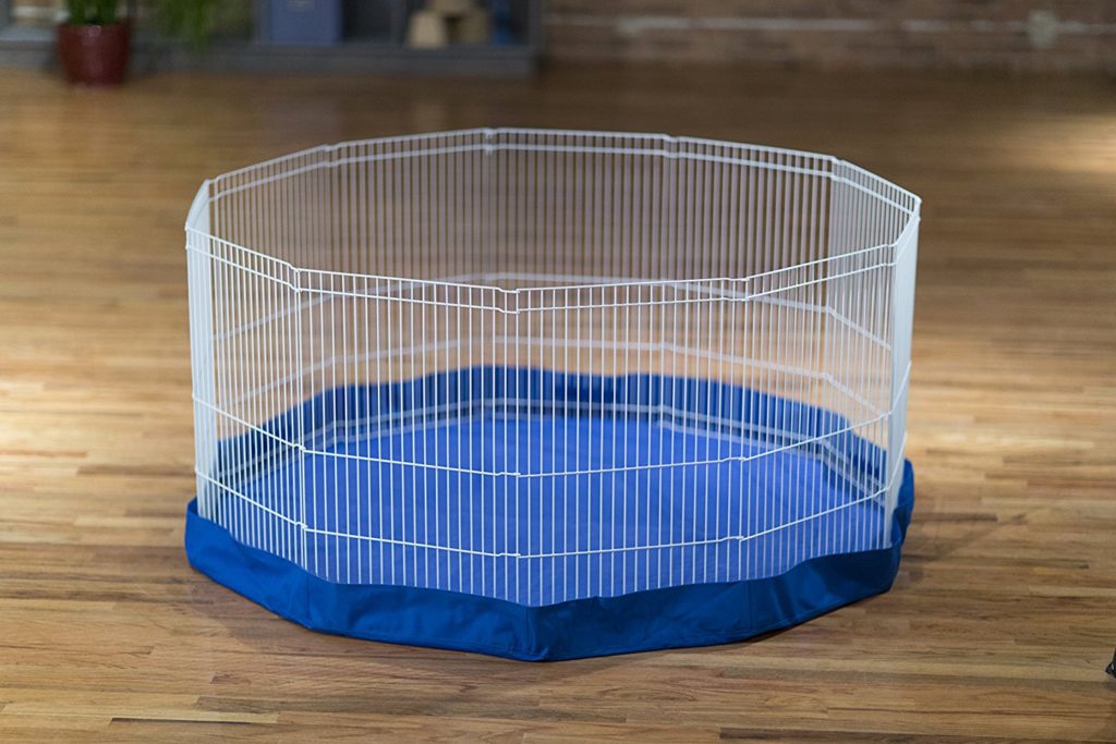 The Best Guinea Pig Playpens And Runs Reviewed