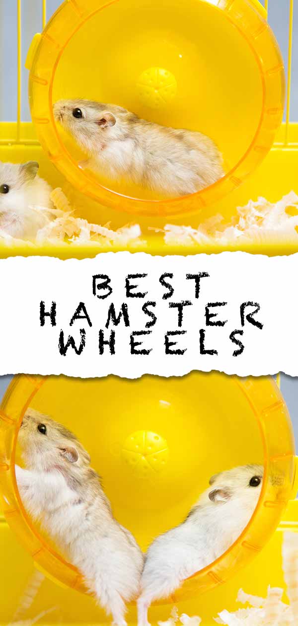 8 hamster wheel