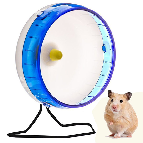 Best Hamster Wheel The Top Hamster Wheels Reviewed