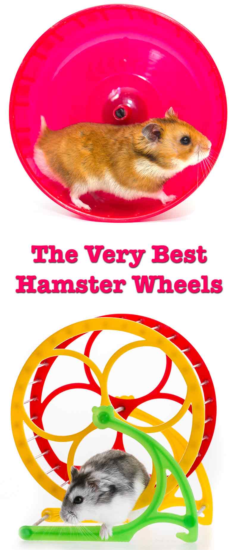 wheel size for robo hamster