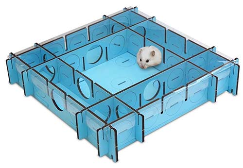 a hamster maze