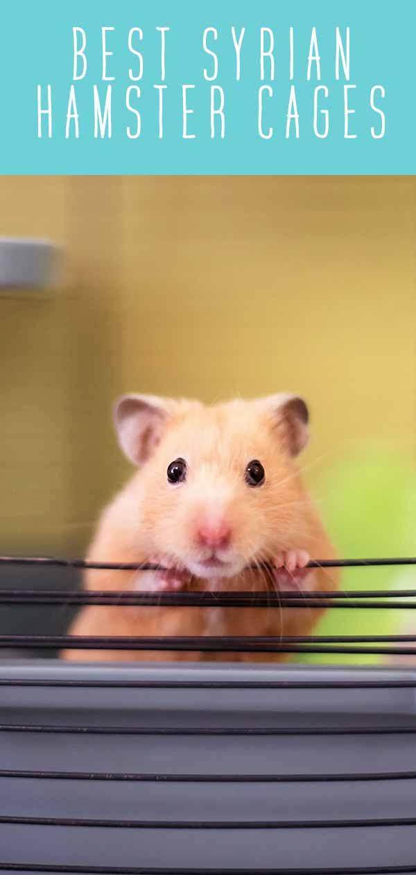 syrian hamster cages