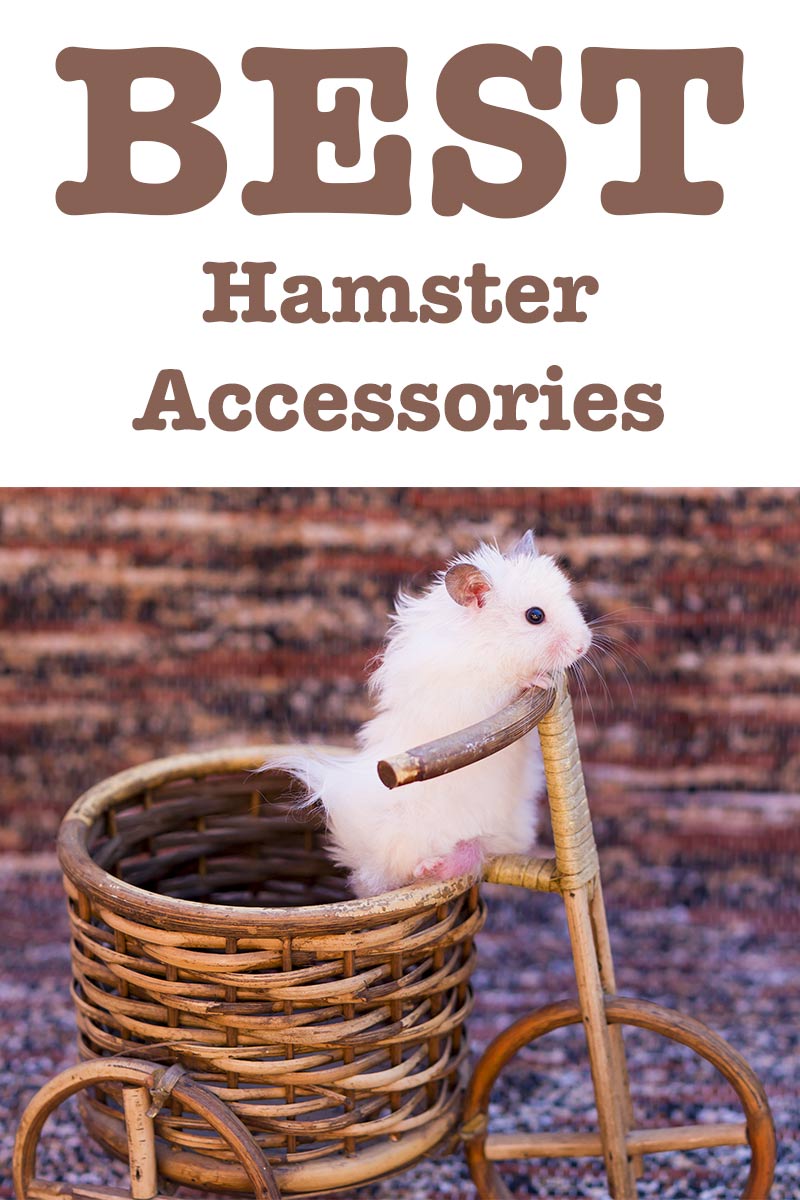 best hamster accessories
