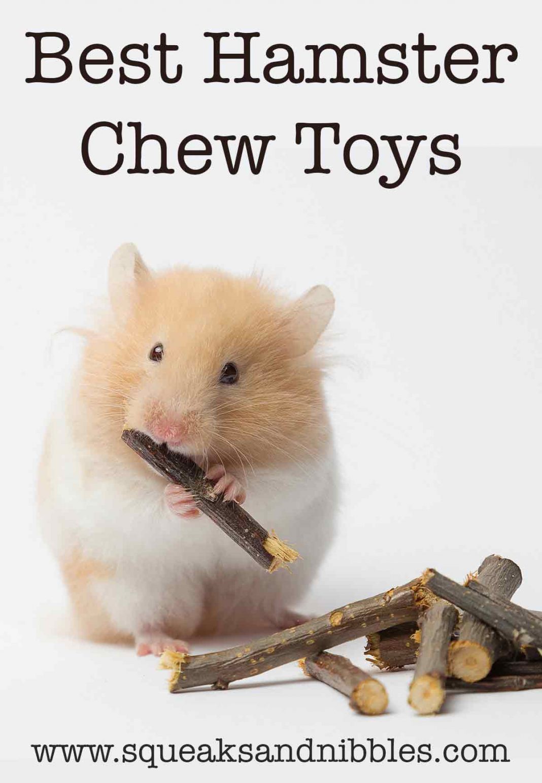 Best Hamster Chew Toys Sticks, Blocks And Much, Much More!