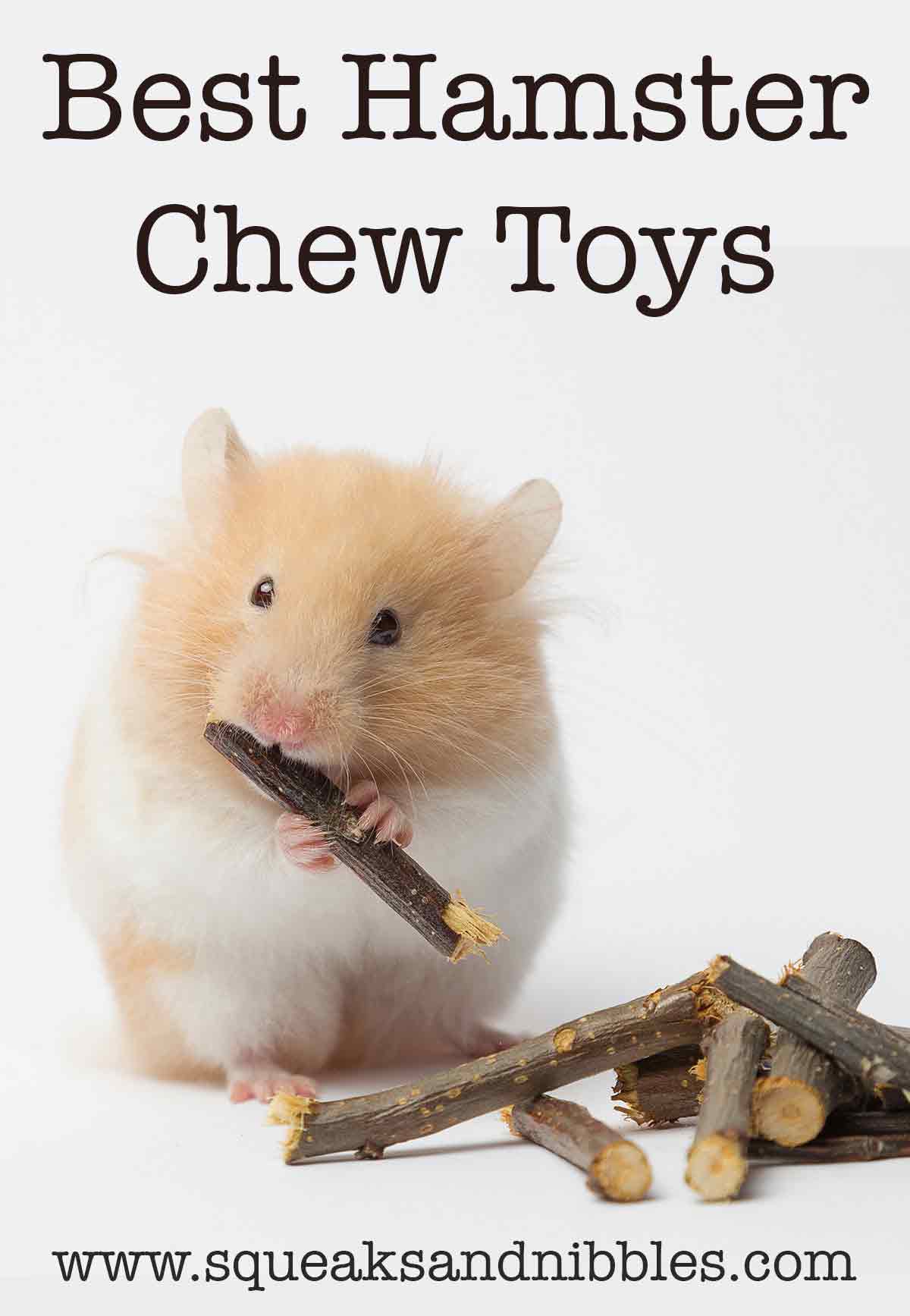 best hamster chew toys