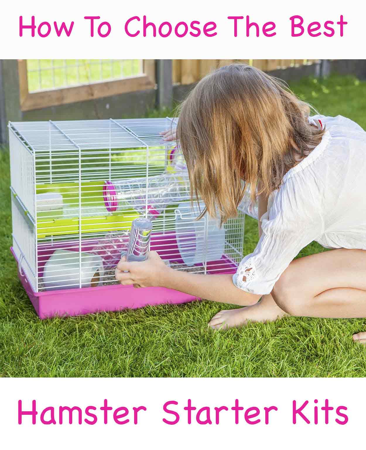 hamster starter kit