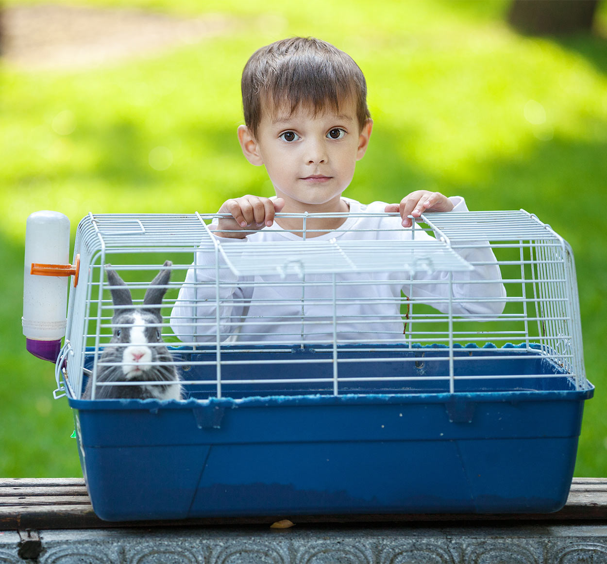 your-guide-to-finding-the-best-indoor-rabbit-cage