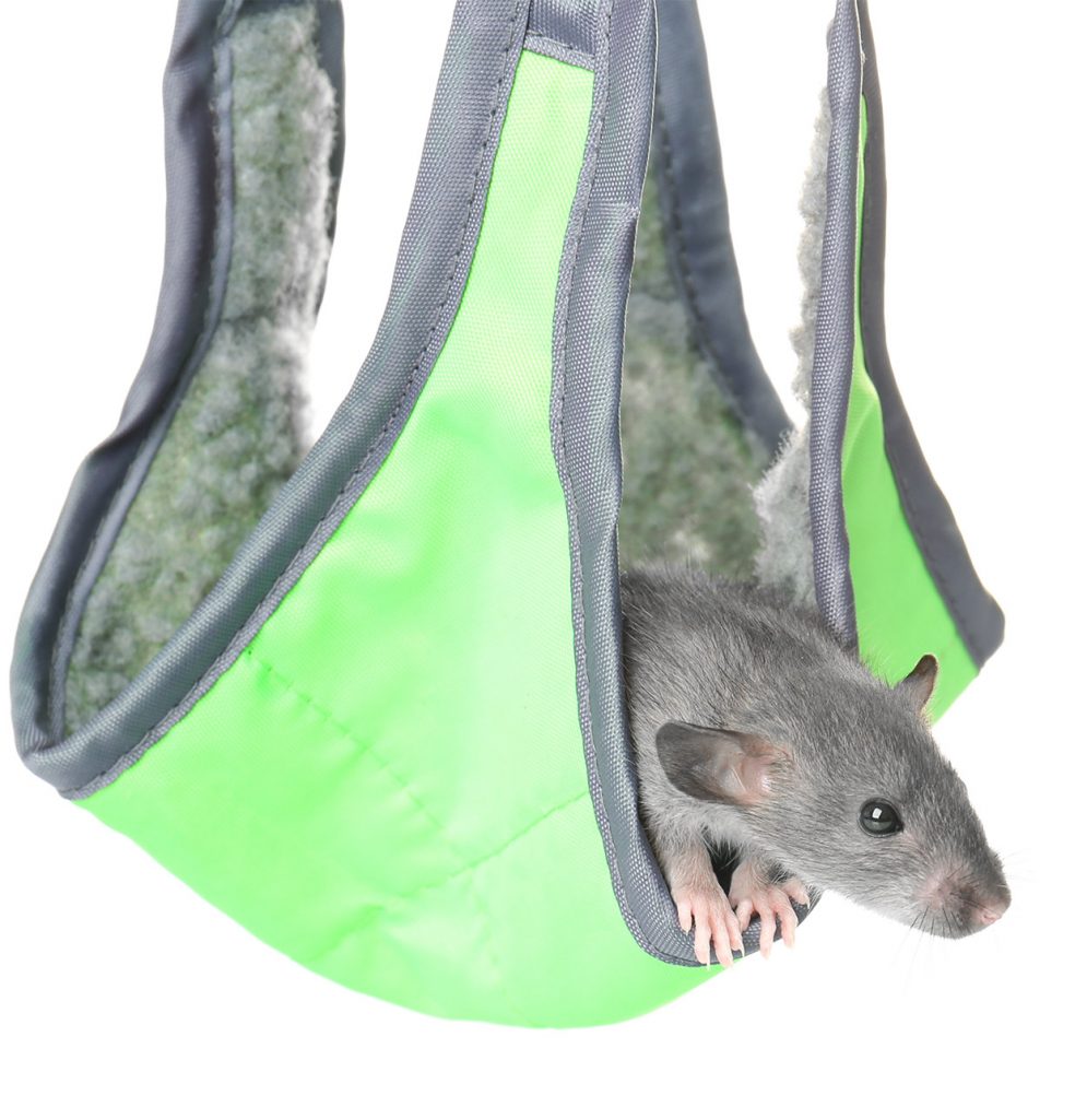 rat hammocks