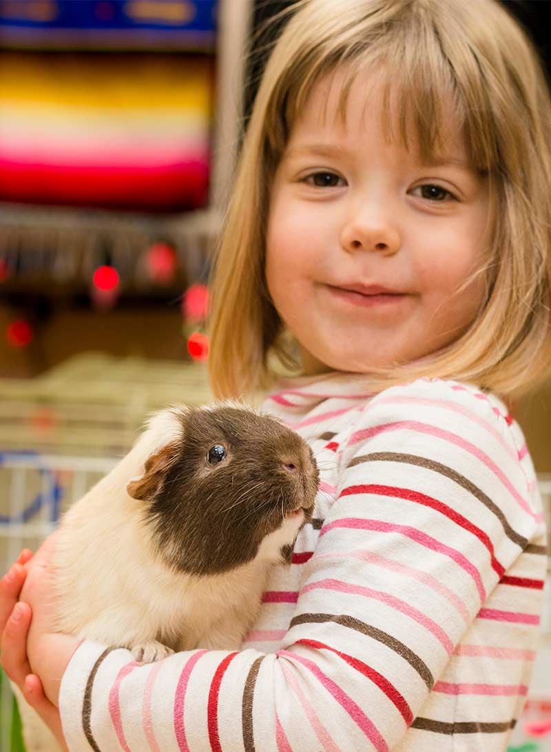 Best Pets for Kids - Top 10 Contenders