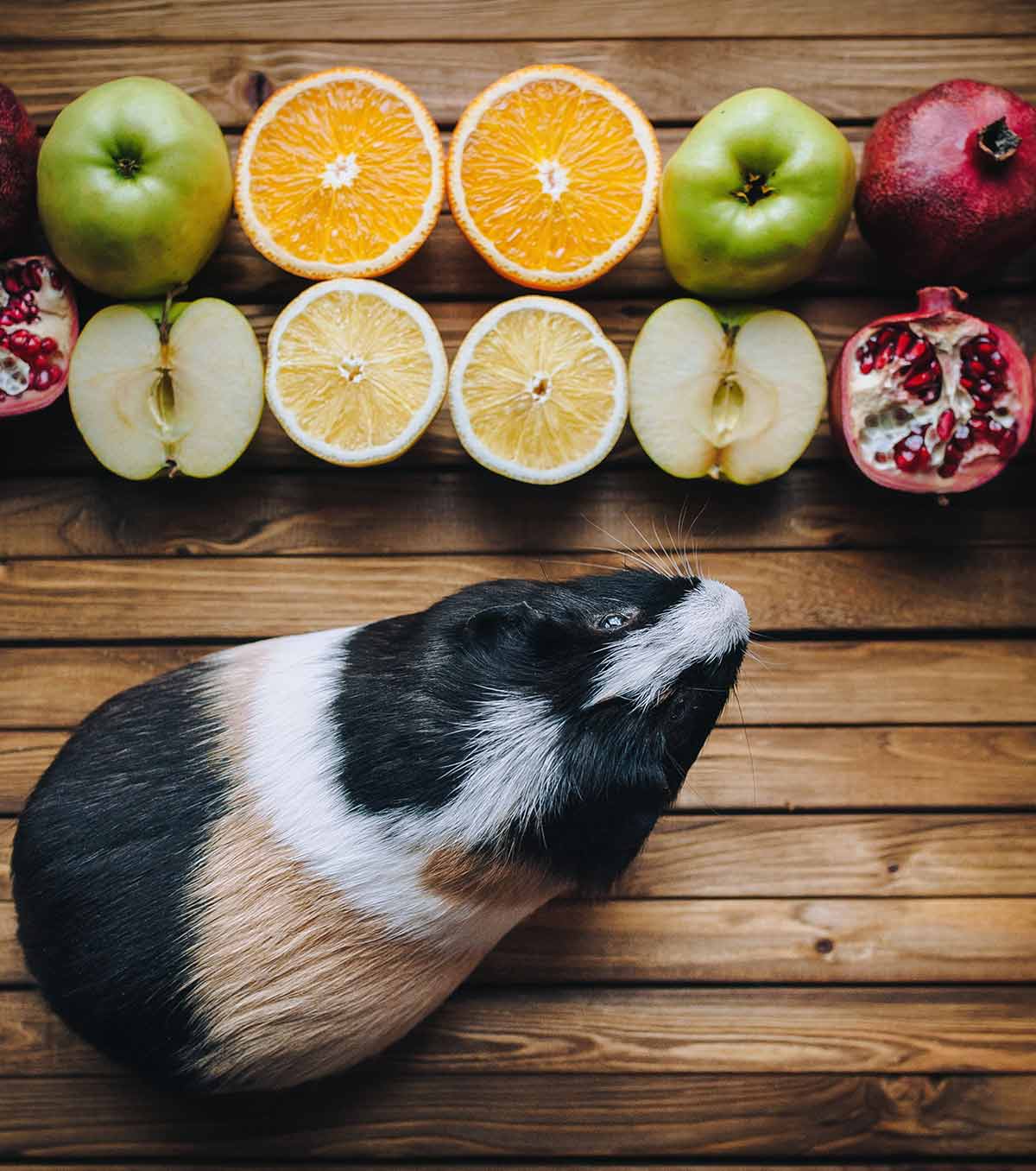 good source of vitamin c for guinea pigs