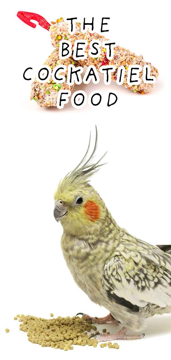 best food for a cockatiel