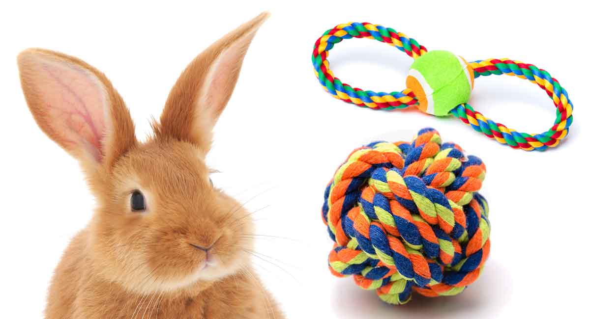 Best Diy Rabbit Toys Tons Of Bunny Fun For Free - Easy Diy Bunny Toys