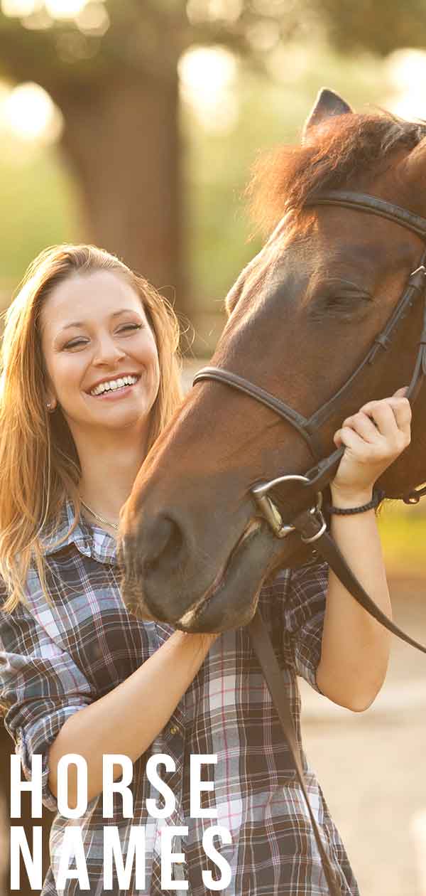 Horse names