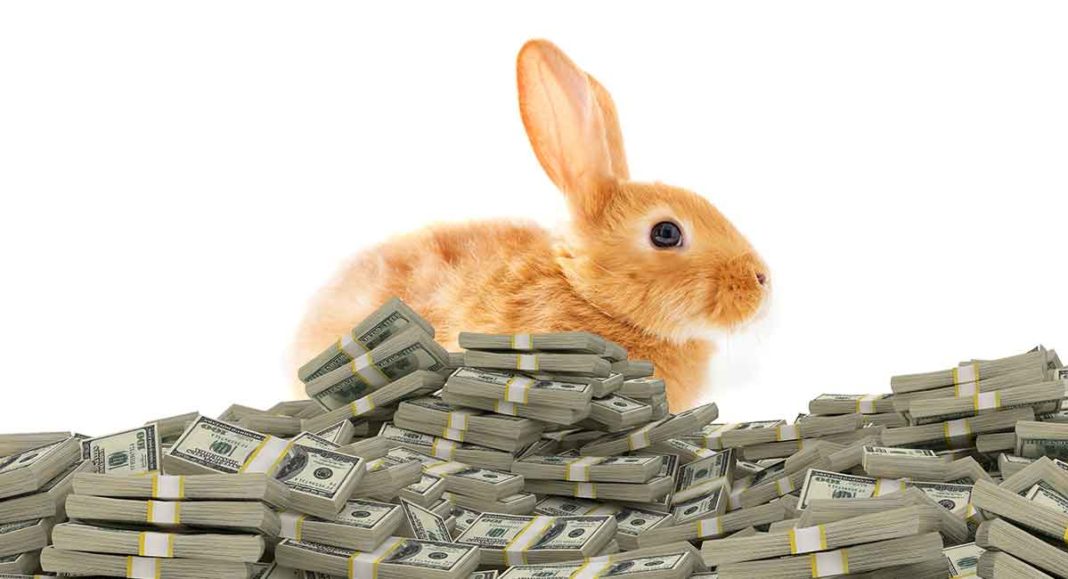 How Much Are Rabbits Food: Understanding the Cost of Feeding Your Bunny