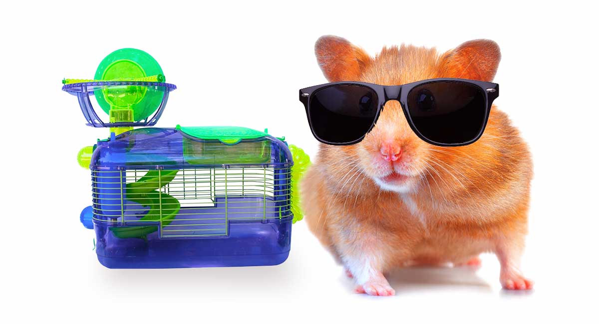 hamster cage ideas