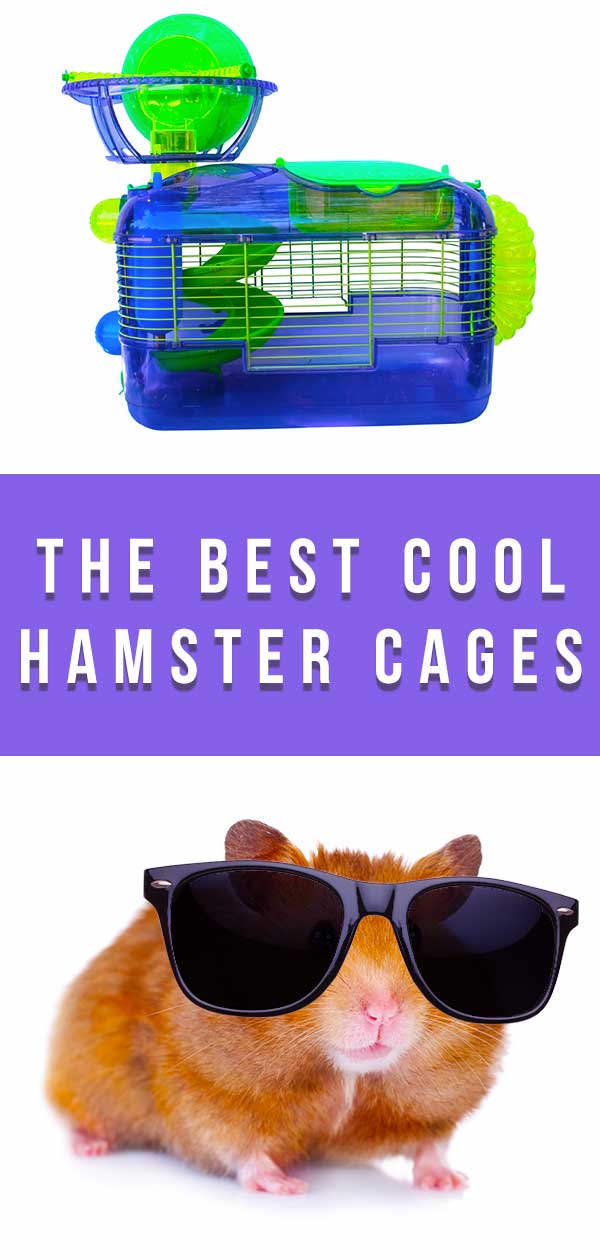 cool hamster cages 