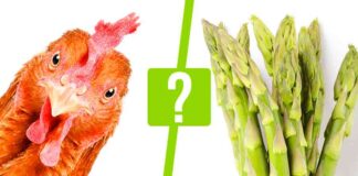 can chickens eat asparagus