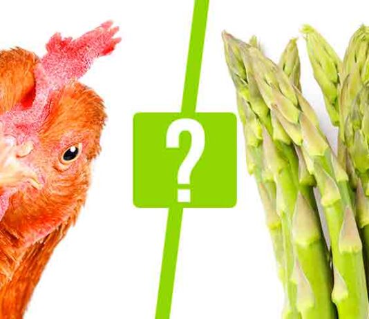 can chickens eat asparagus