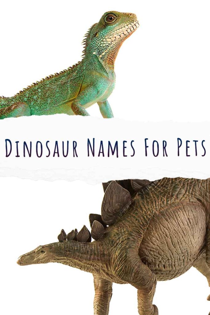 Over 140 Totally ROARsome Dinosaur Names For Pets