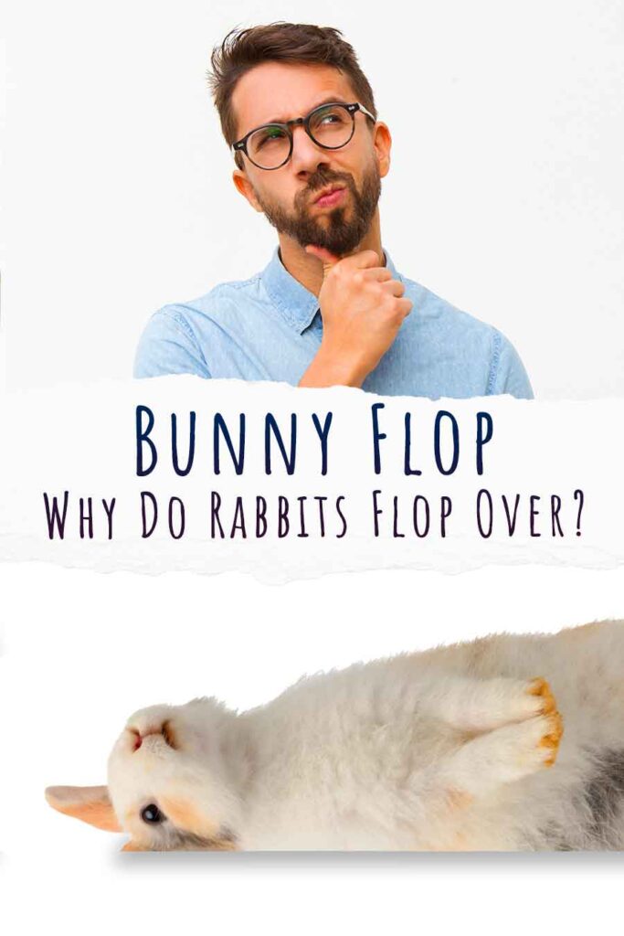 bunny flop