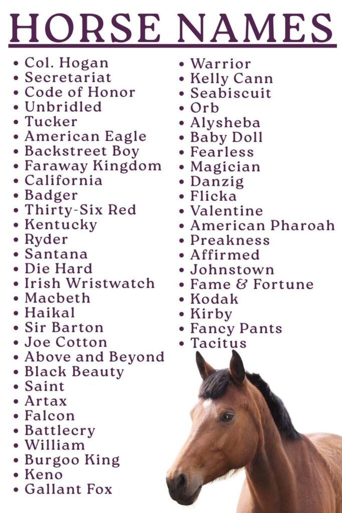 photo of a list of horse names